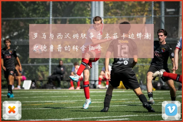 罗马与西汉姆联争夺本菲卡边锋谢尔德鲁普的转会机会